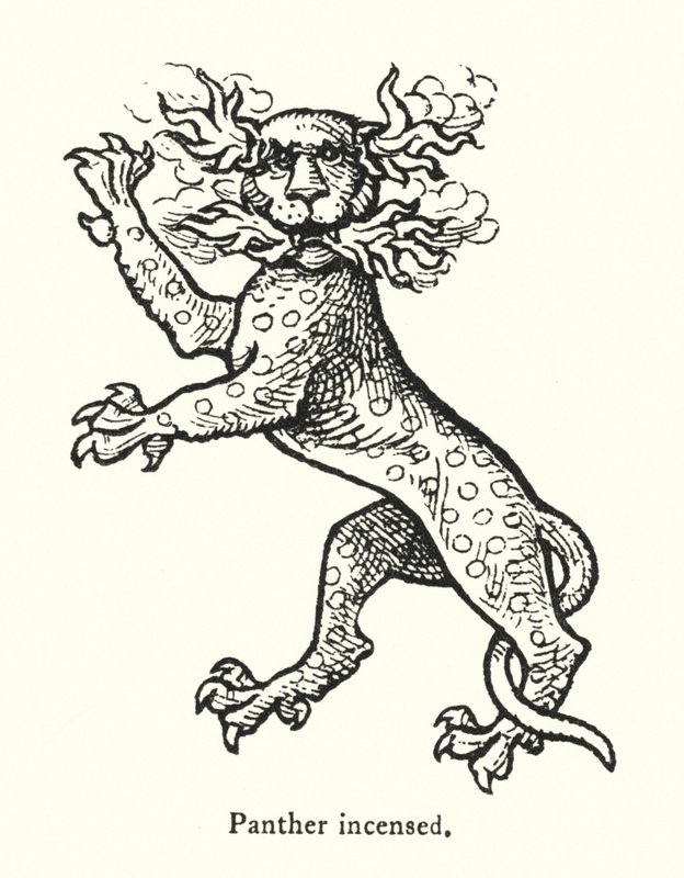 Panter oprørt (gravering) af English School