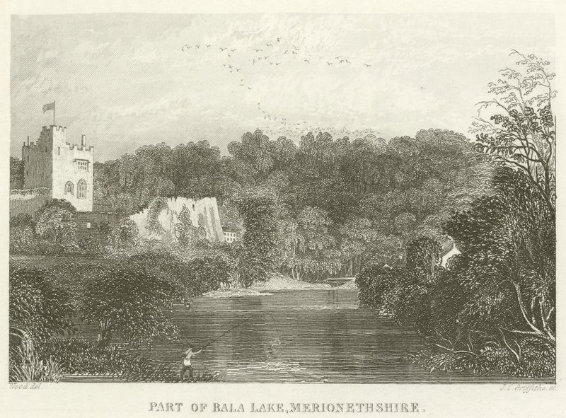 En del af Bala Lake, Merionethshire (gravering) af English School