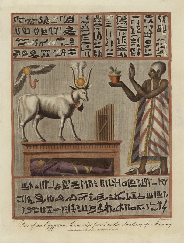 En del af et egyptisk manuskript fundet i en mumies svøb af English School