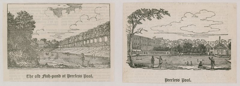 Peerless Pool af English School