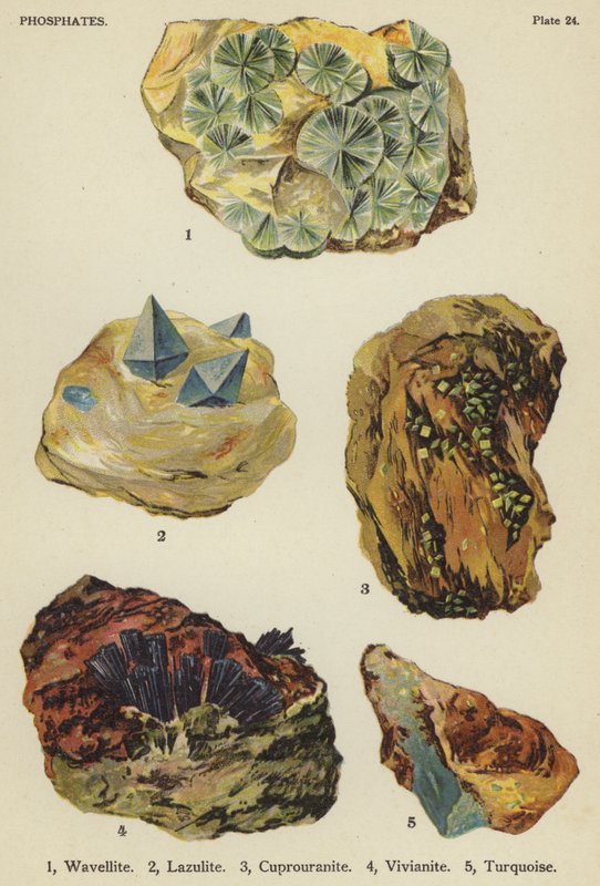 Fosfater, wavellit, lazulit, cuprouranite, vivianite, turkis (farve litho) af English School