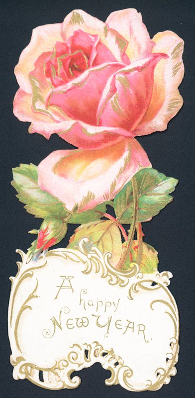 Pink Rose, nytårskort af English School