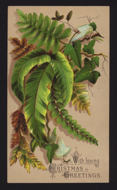Planteblade, julekort, slutningen af det 19. eller begyndelsen af det 20. århundrede (chromolitho) af English School