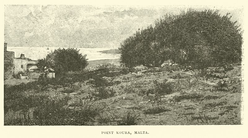 Point Koura, Malta af English School