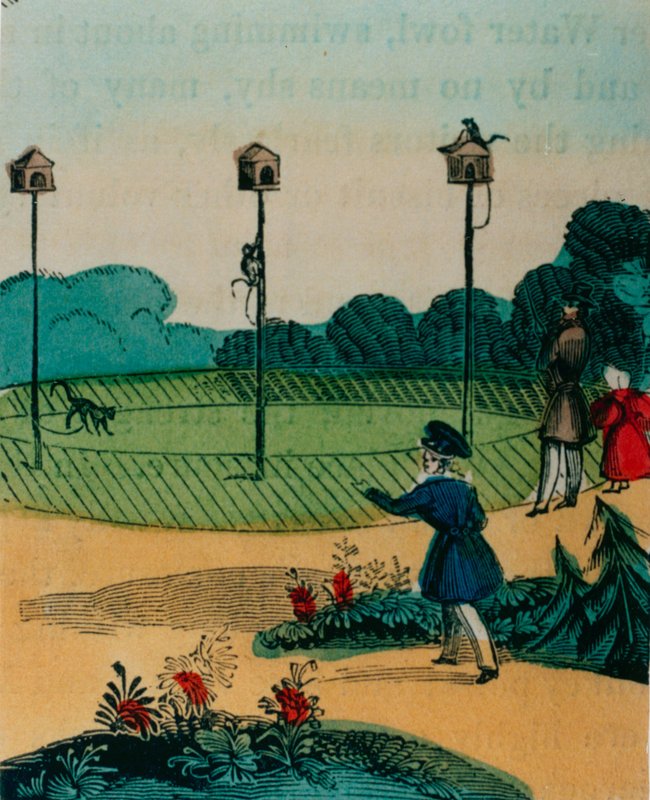 Pæle, som aber blev lænket til om sommeren som aber på et pindelegetøj. 1840