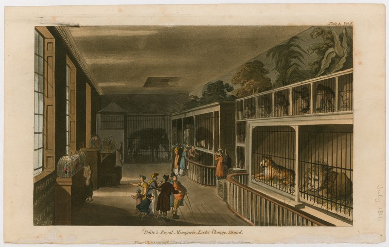 Politos Royal Menagerie, Exeter Change, Strand af English School