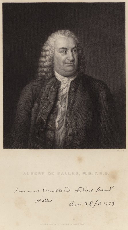 Portræt af Albert de Haller af English School