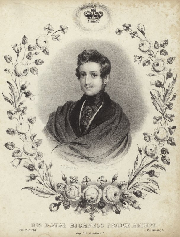 Portræt af Albert, Prinsgemalen af English School