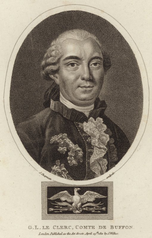 Portræt af Georges-Louis Leclerc, greve af Buffon af English School