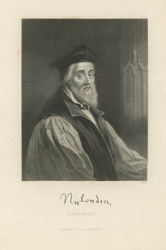 Portræt af Nicholas Ridley af English School