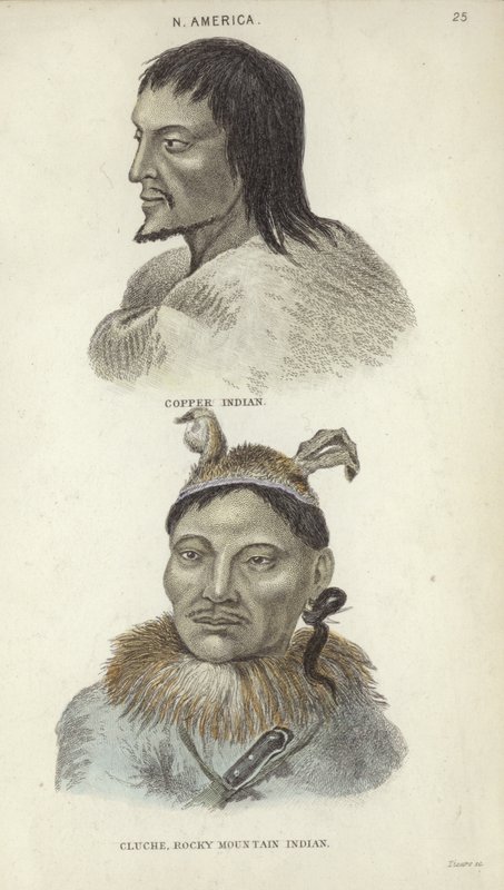 Portrætter af en kobberindianer og en Rocky Mountain-indianer (farvegravering) af English School