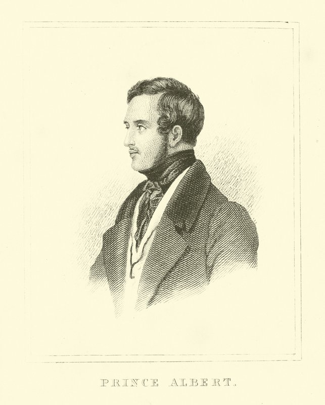 Prins Albert af English School