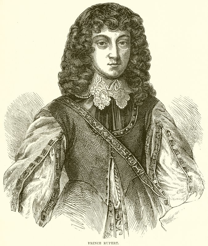Prins Rupert af English School