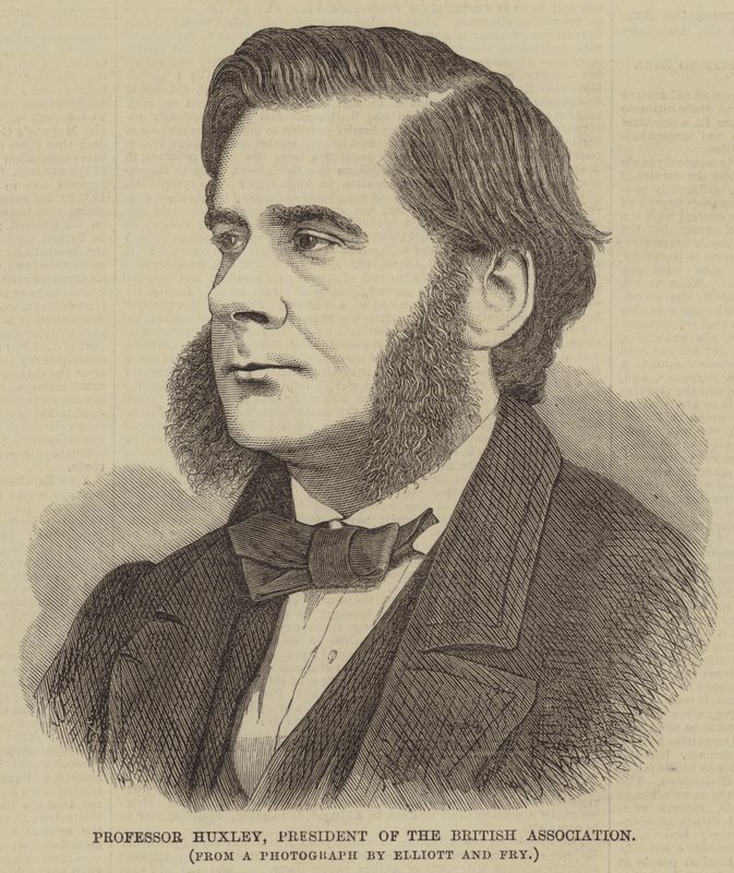 Professor Huxley, formand for British Association (gravering) af English School