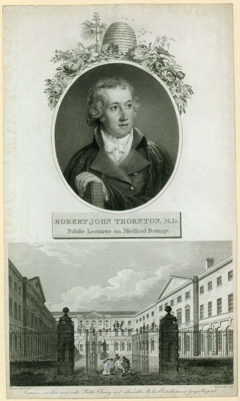 Professor John Thornton, offentlig lektor i medicinsk botanik af English School