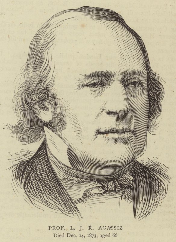 Professor L J R Agassiz (gravering) af English School