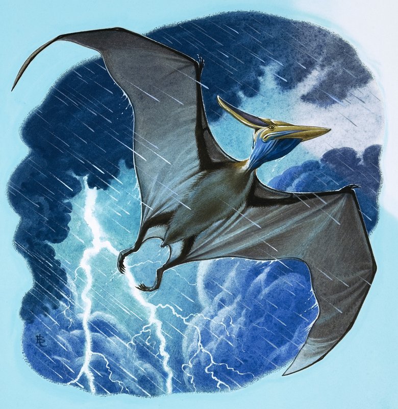 Pterodactyl af English School