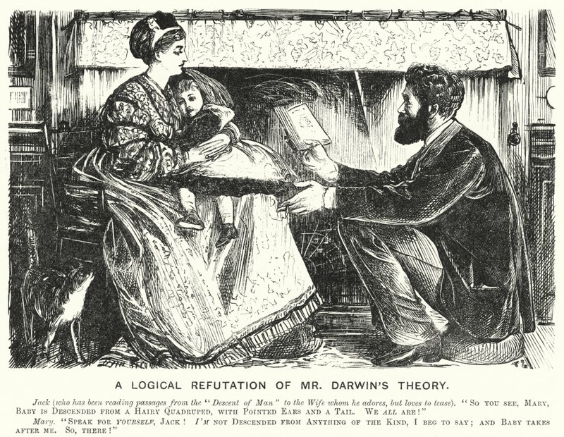 Punch tegneserie: A Logical Refutation of Mr Darwin
