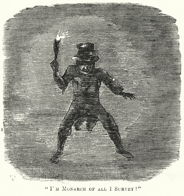 Punch tegneserie: Jeg er Monarch of All I Survey! (gravering) af English School