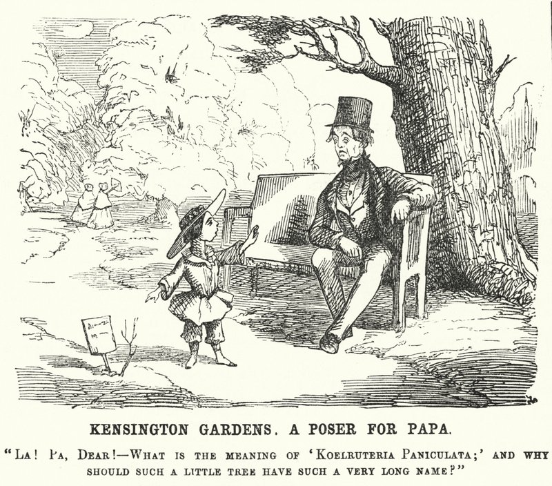 Punch tegneserie: barn stiller sin far et spørgsmål i Kensington Gardens, London (gravering) af English School