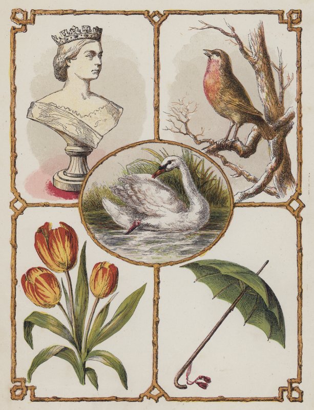Dronning, Robin, Svane, Tulipan, Paraply (farve litho) af English School
