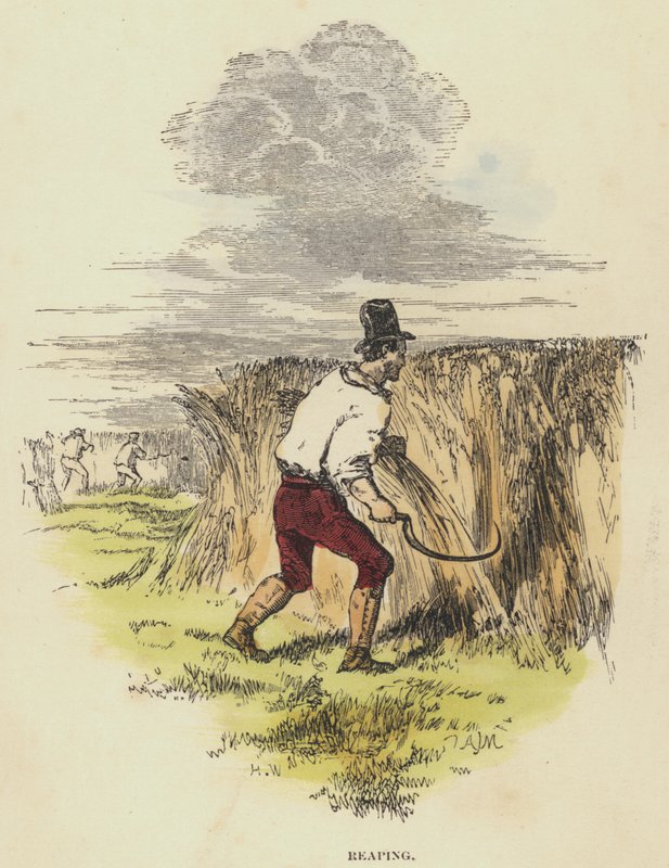 Reaping (farvet gravering) af English School