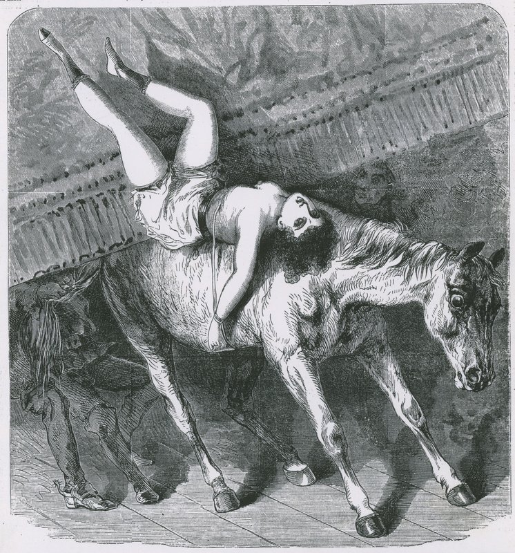 Erindringer om Astleys Theatre, London, den brændende utæmmede hest glemmer sin rolle, og gardinet går desværre ned af English School