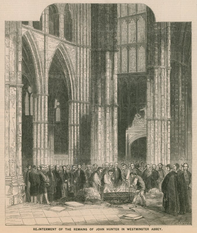 Genbegravelse af John Hunters forbliver i Westminster Abbey af English School