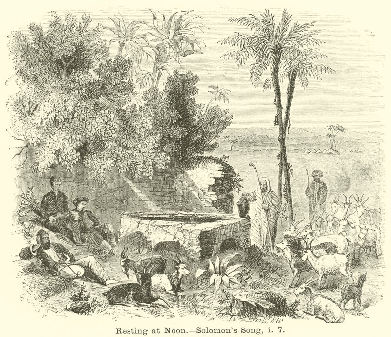 Hvile ved middagstid, Solomons sang, i, 7 af English School