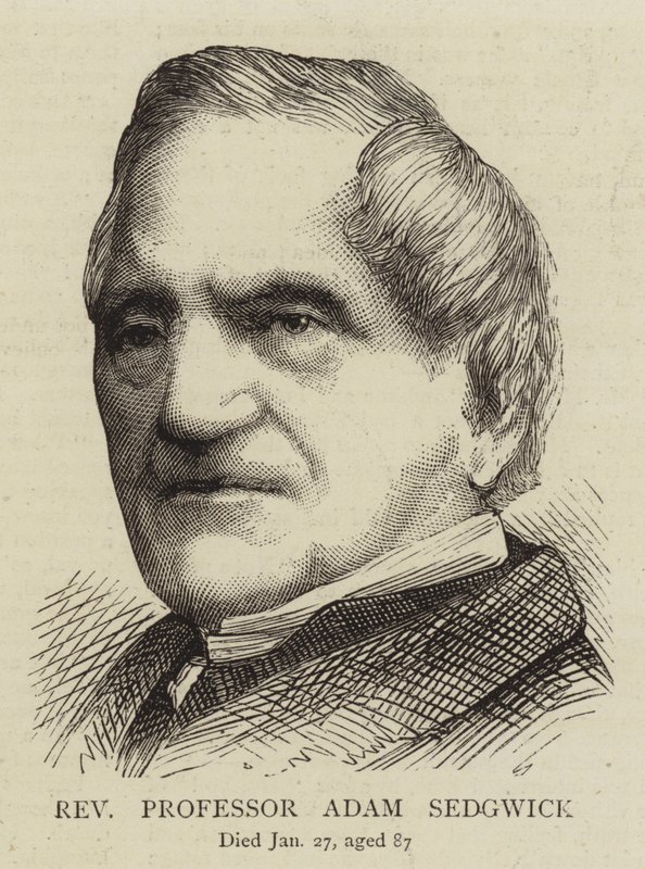 Ærværdig professor Adam Sedgwick (gravering) af English School