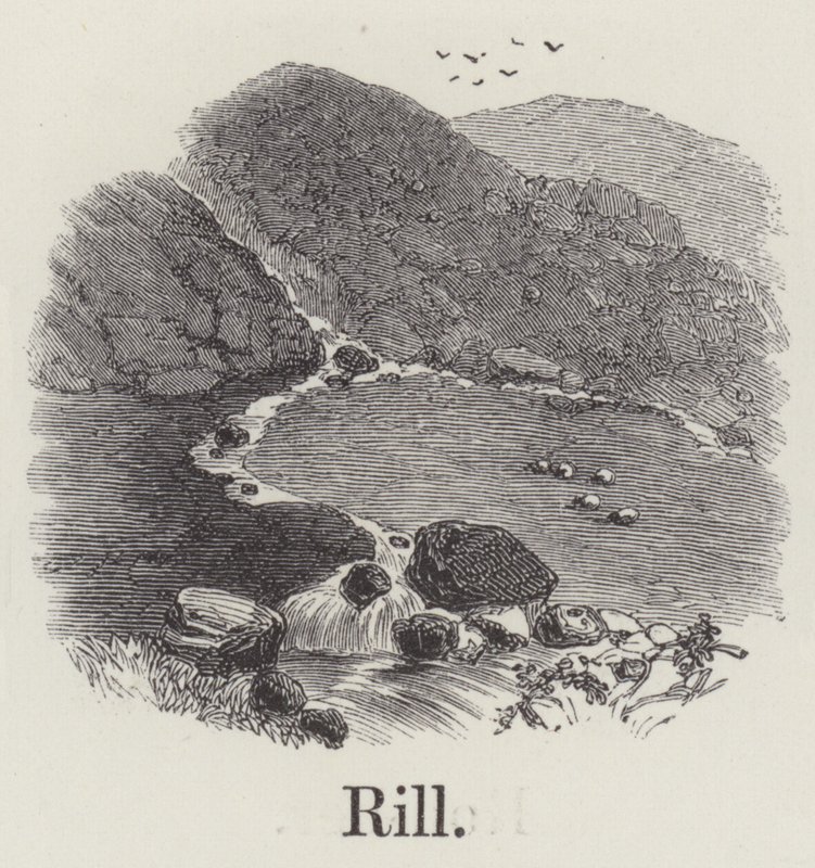 Rill (gravering) af English School