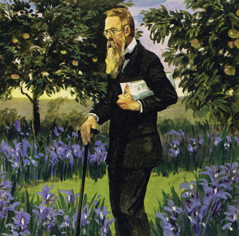 Rimsky-Korsakov fik et hjerteanfald, men kom sig nok til at gå i sin have af English School