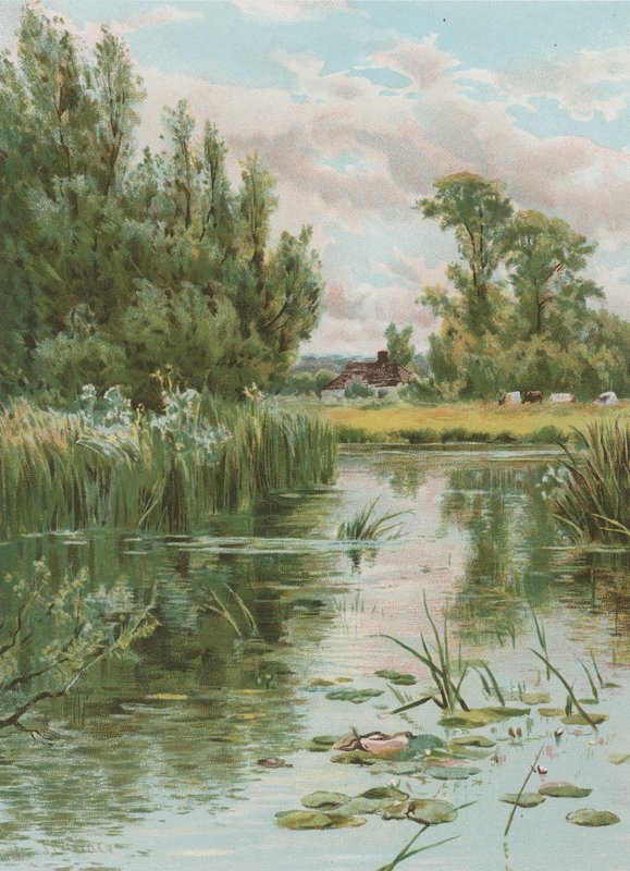 Flodscene af English School