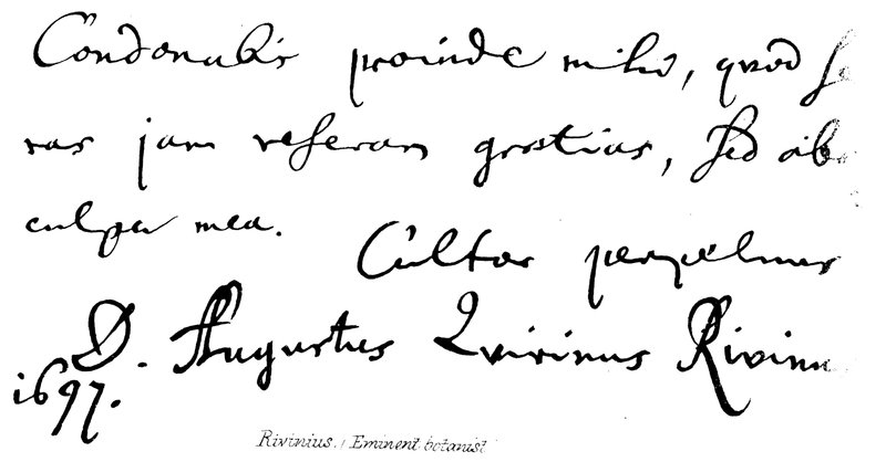 Rivinius, (Eminent botaniker) af English School