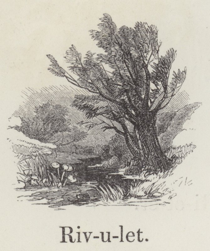 Rivulet (gravering) af English School