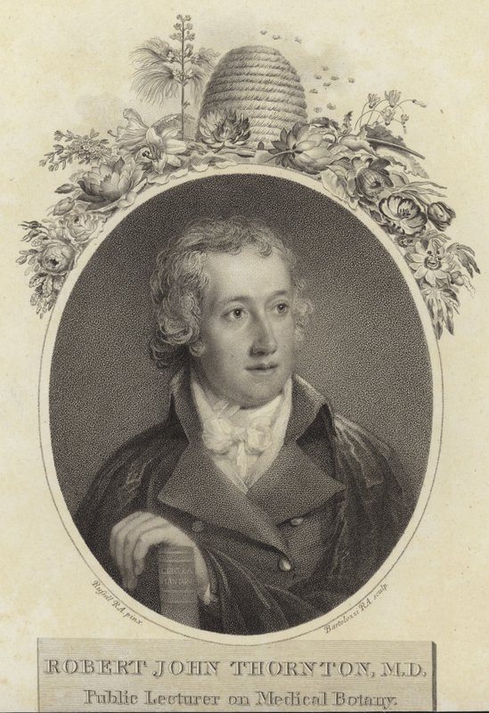 Robert John Thornton af English School