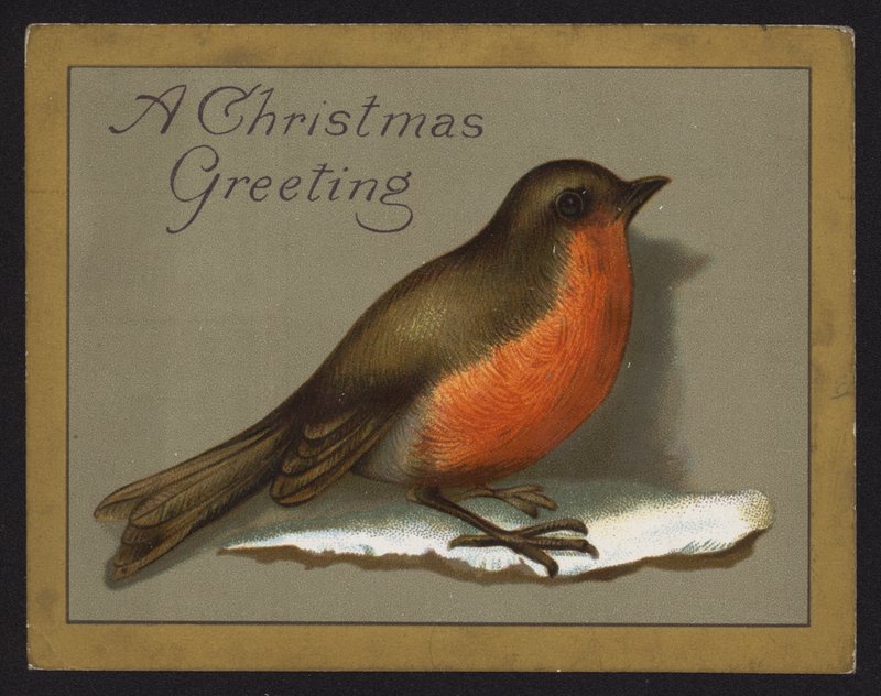 Robin (chromolitho) af English School