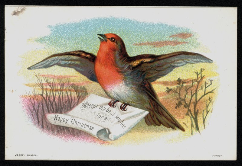 Robin med en julebesked, lykønskningskort. (chromolitho) af English School