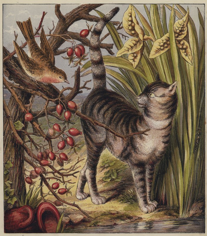 Robins julesang (farve litho) af English School
