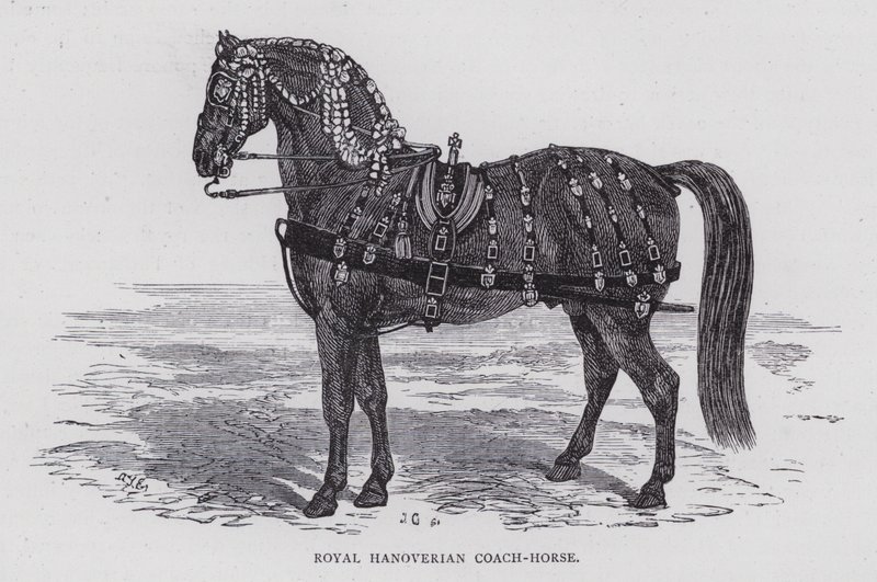 Royal Hannoverian Coach-Horse (gravering) af English School