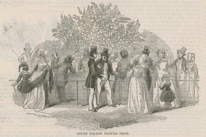 Royal South London Horticultural Society af English School