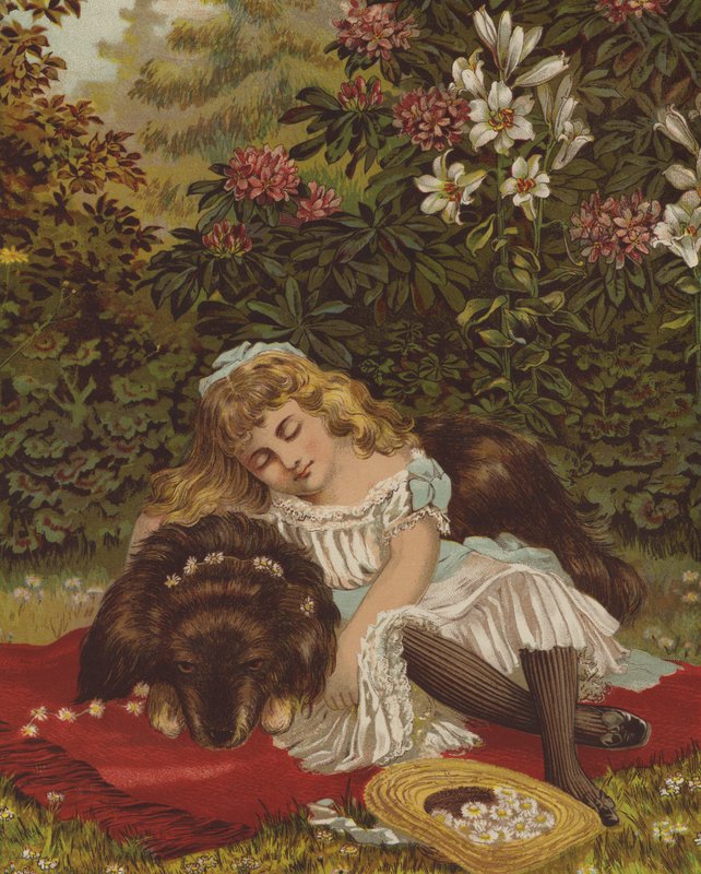Safe Repose (chromolitho) af English School