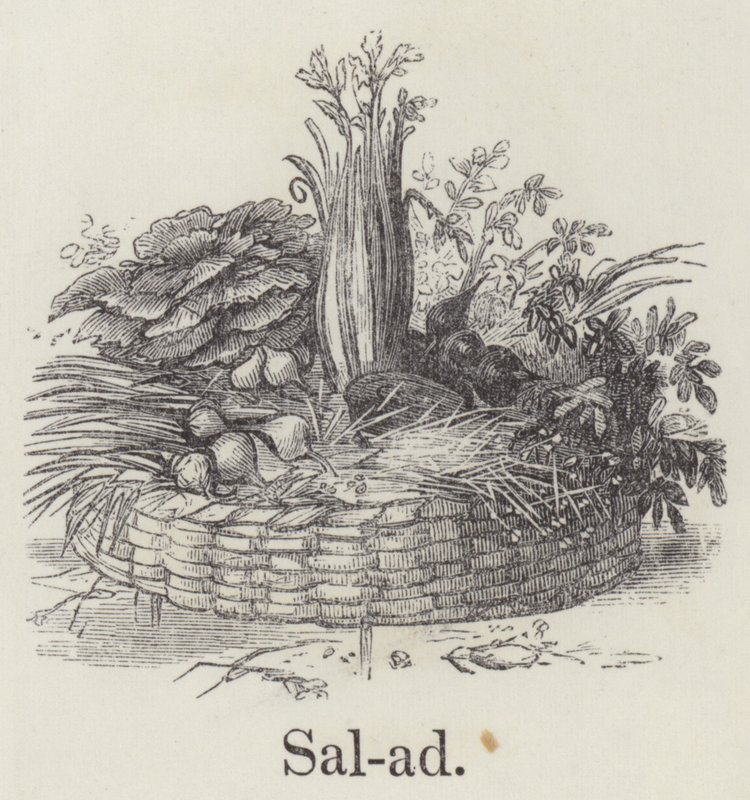 Salat (gravering) af English School