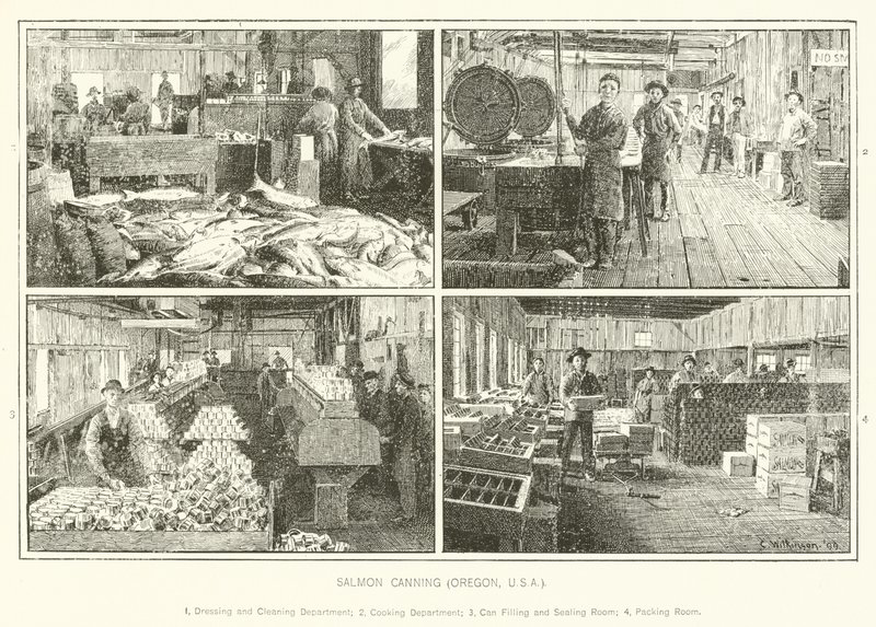 Salmon Canning, Oregon, USA af English School