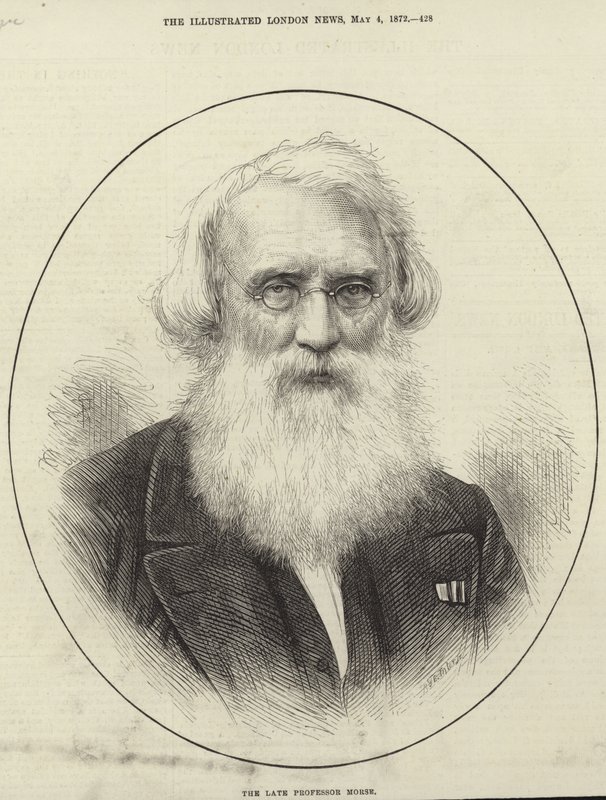 Samuel Morse af English School