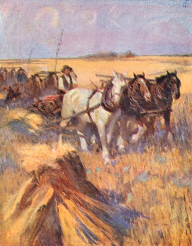 Saskatchewan, den moderne skotte på sin selvbinder (farvelitografi) af English School
