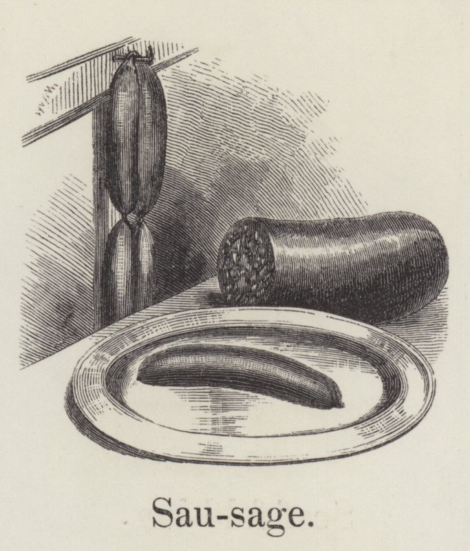 Pølse (gravering) af English School