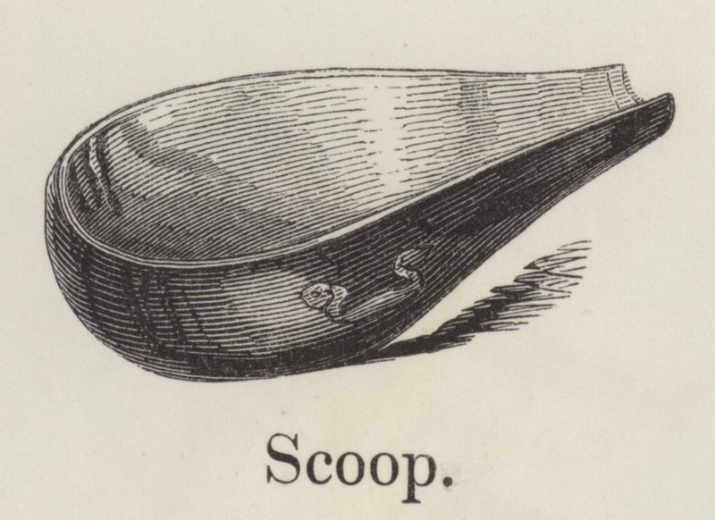 Scoop (gravering) af English School