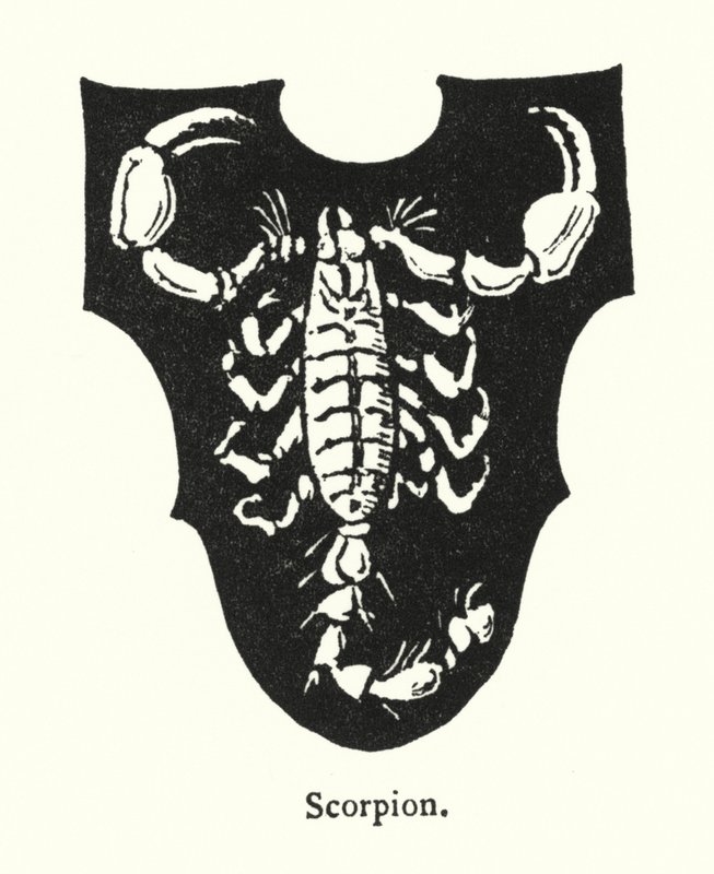 Scorpion (gravering) af English School