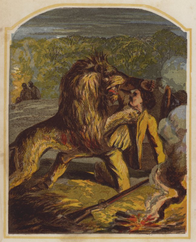 Den skotske missionær David Livingstone angrebet af en løve i Afrika (chromolitho) af English School